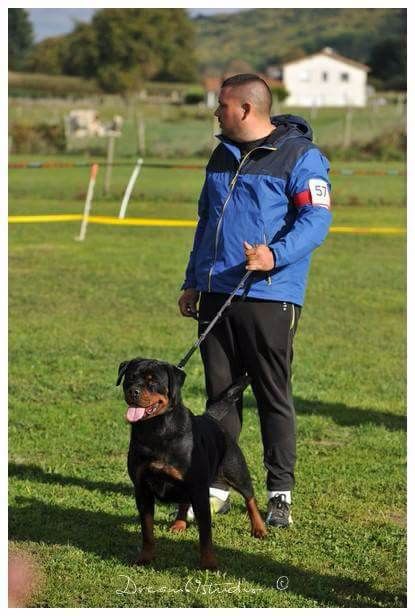 Publication : Of Legend Mysteria