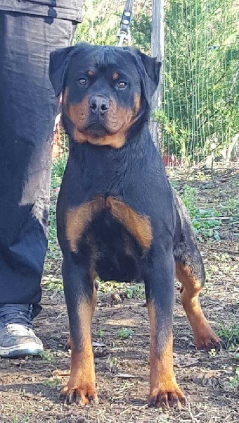 Publication : Of Legend Mysteria