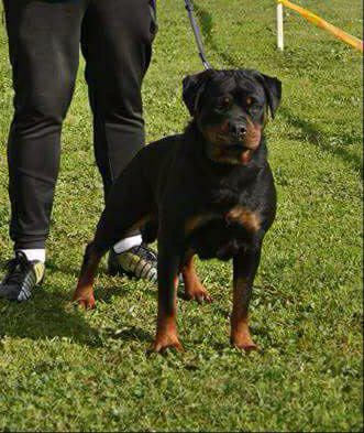 Publication : Of Legend Mysteria