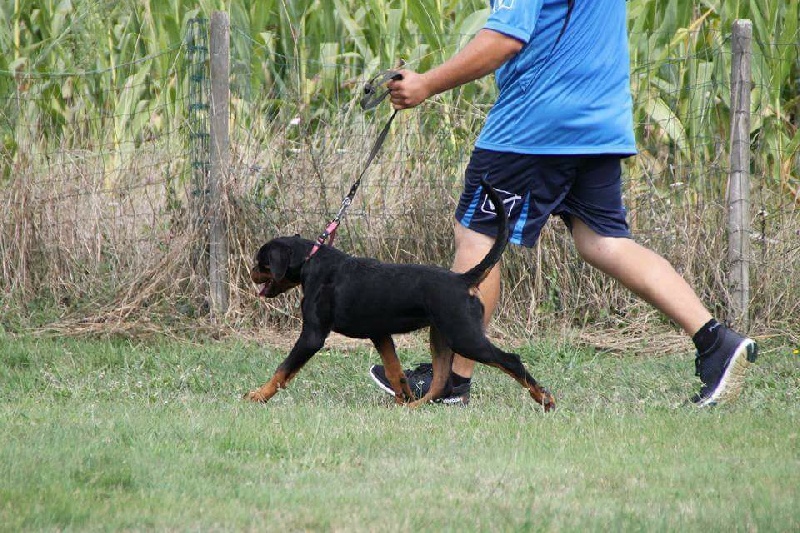 Publication : Of Legend Mysteria