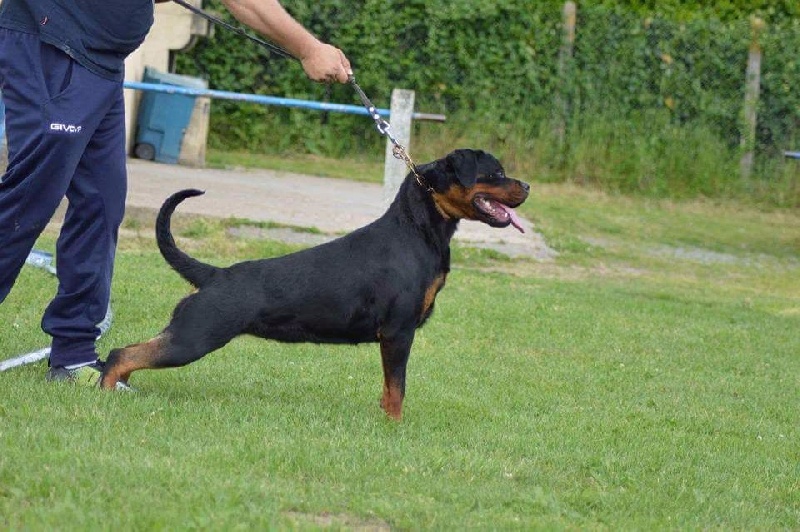 Publication : Of Legend Mysteria