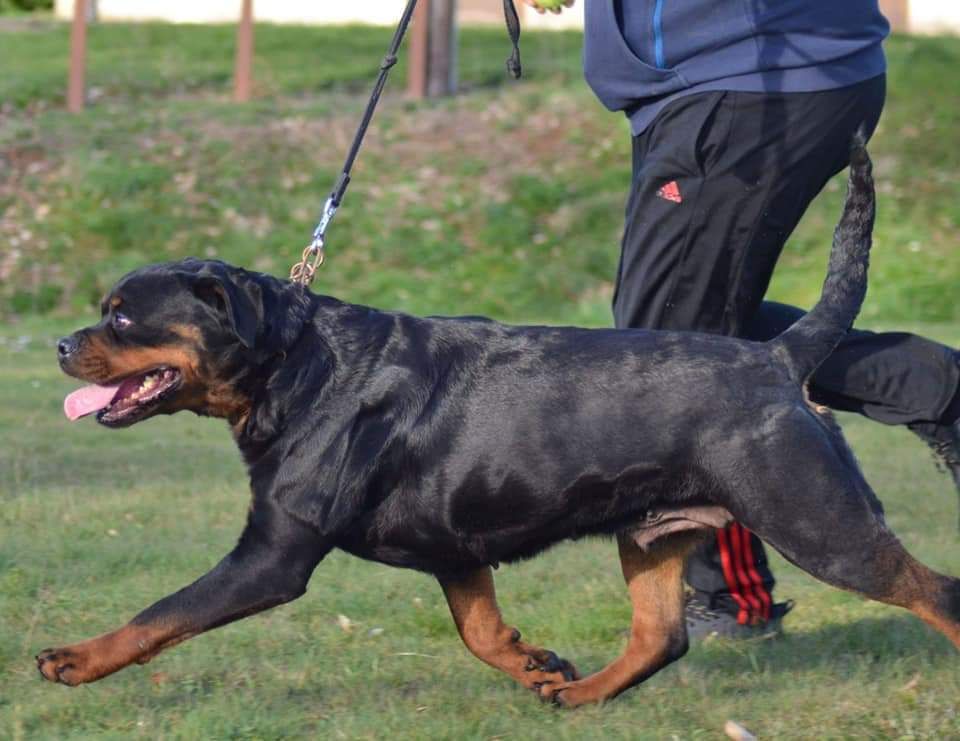 Publication : Of Legend Mysteria