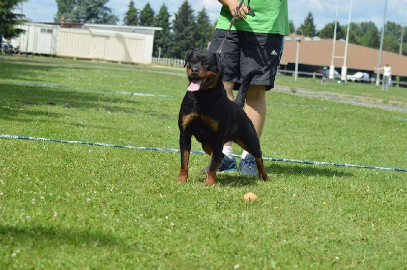 Publication : Of Legend Mysteria