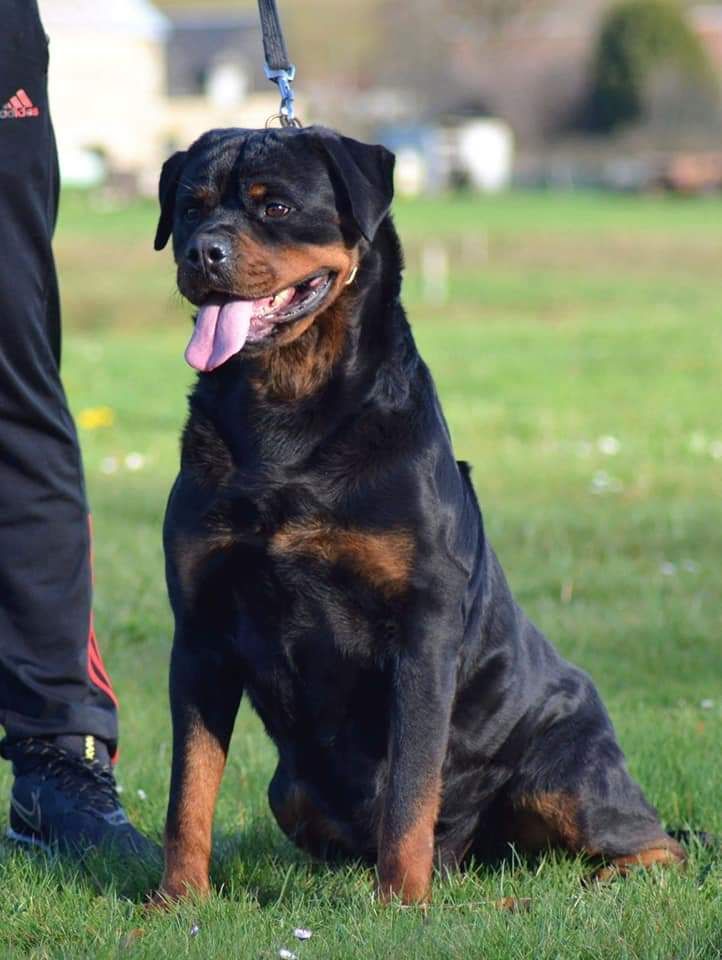 Publication : Of Legend Mysteria