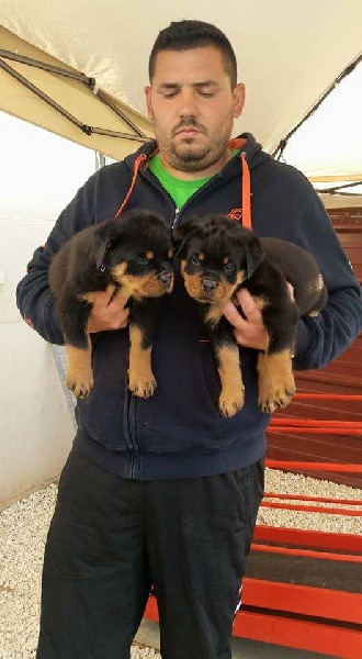 Publication : Of Legend Mysteria