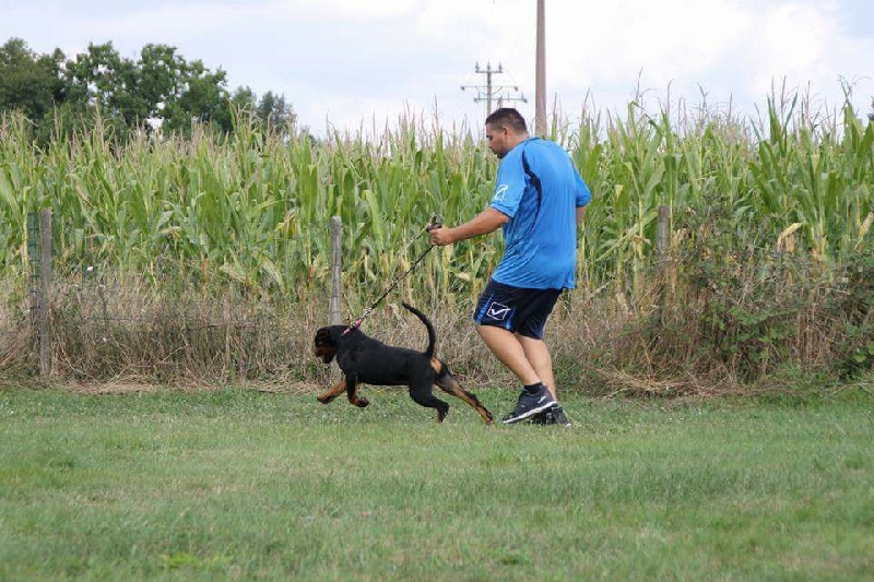 Publication : Of Legend Mysteria