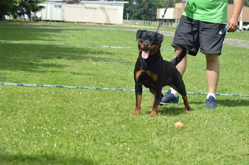 Publication : Of Legend Mysteria