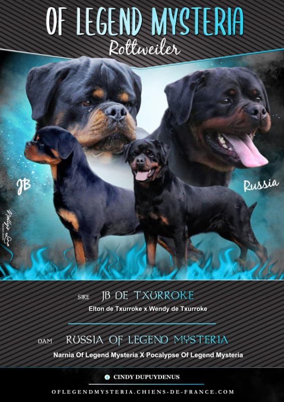 Rottweiler - Of Legend Mysteria