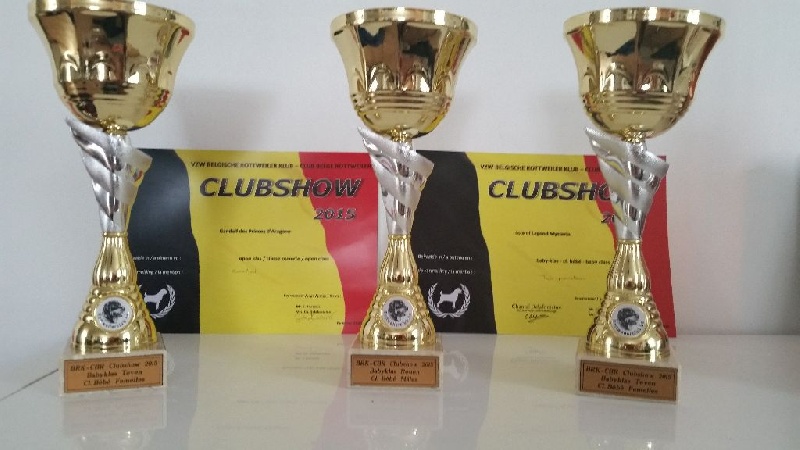 J.ch lola Of Legend Mysteria - Très prometteur