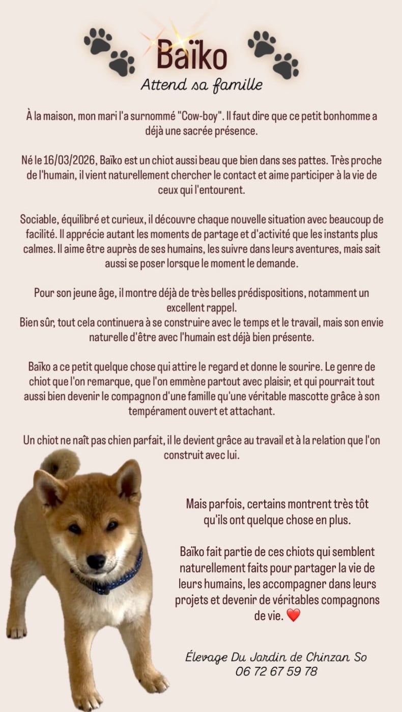 Shiba - Du Jardin De Chinzan So