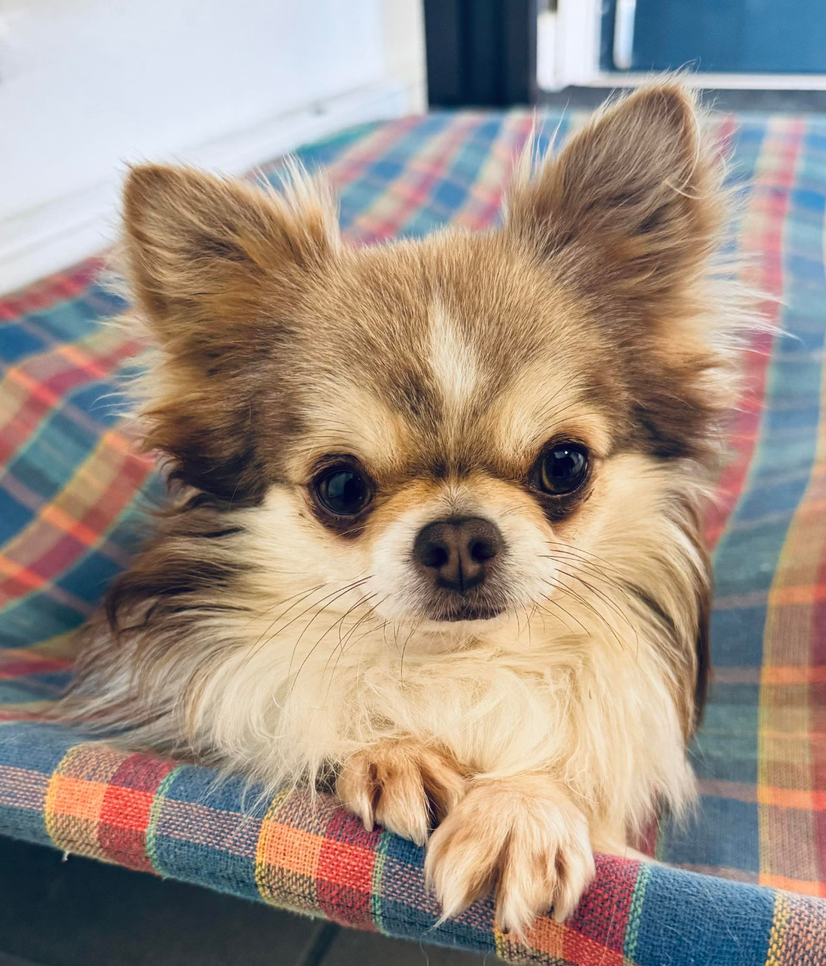Urko de la celiane