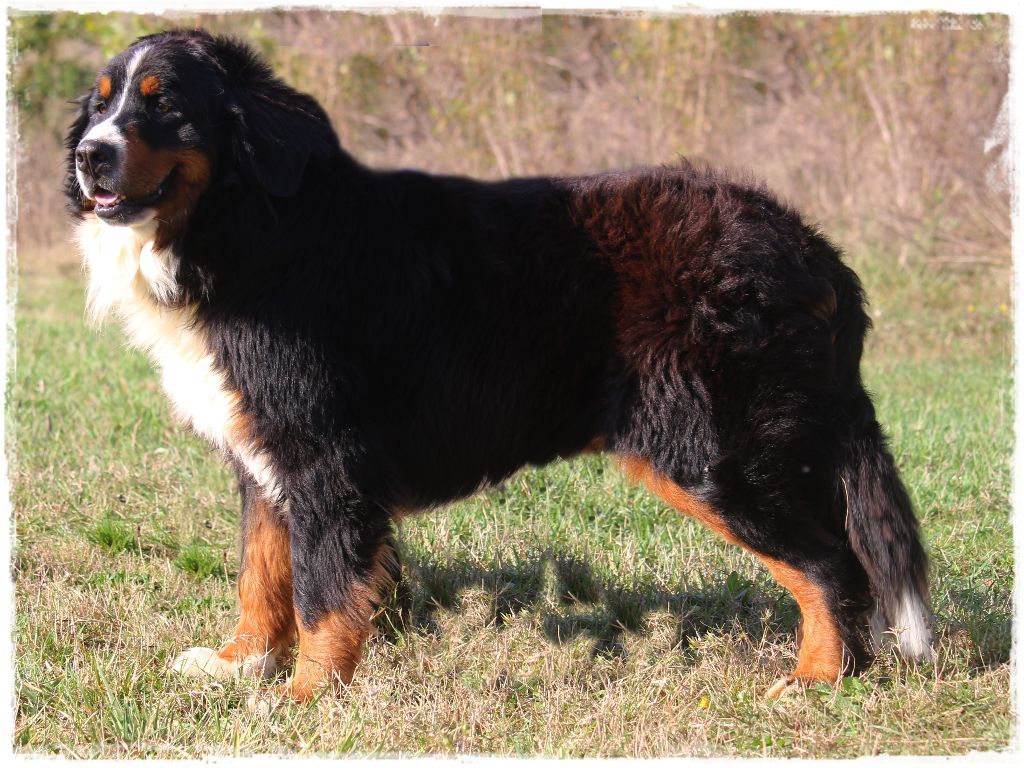 Publication : Du Mas De La Hillane