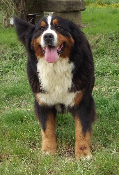 Publication : Du Mas De La Hillane