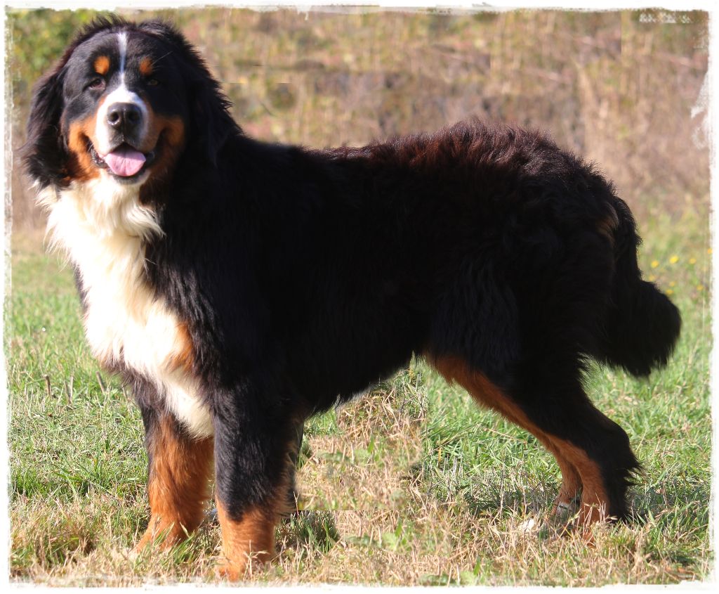 Publication : Du Mas De La Hillane