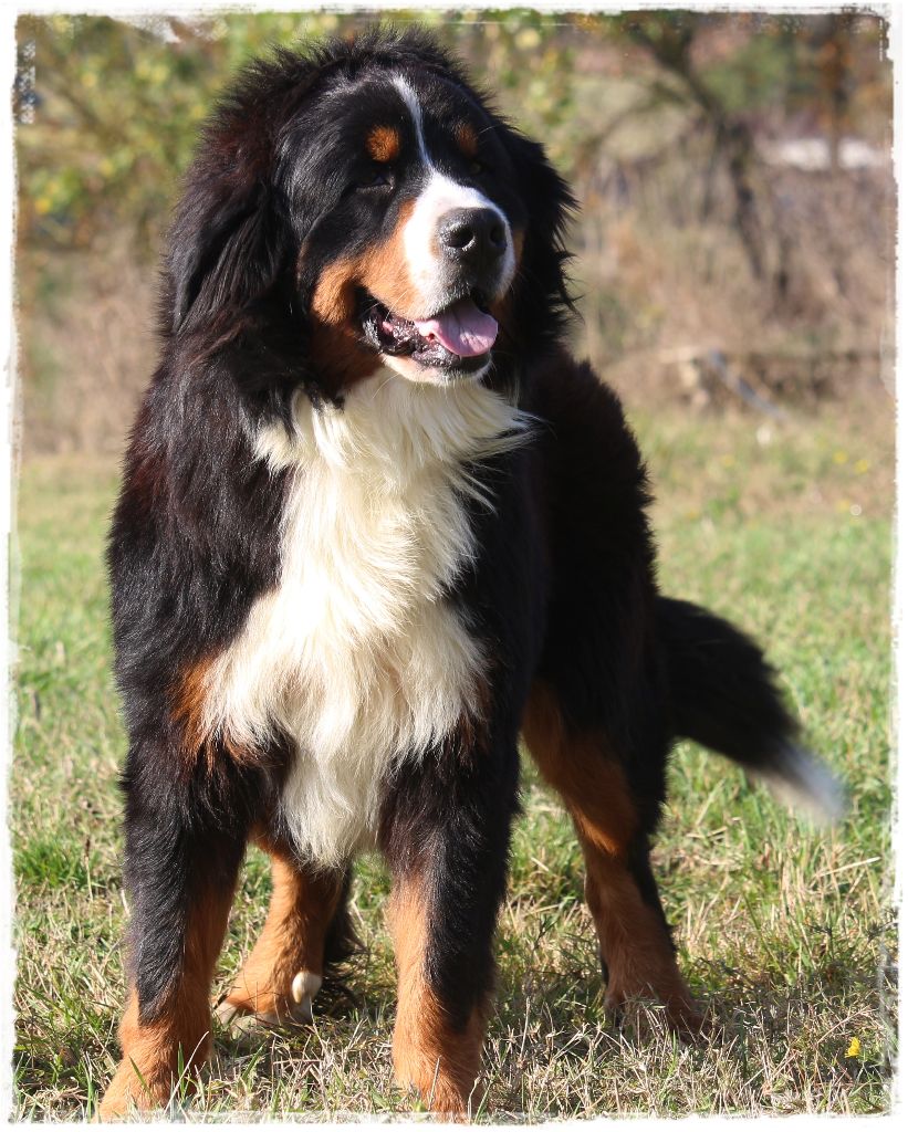 Publication : Du Mas De La Hillane