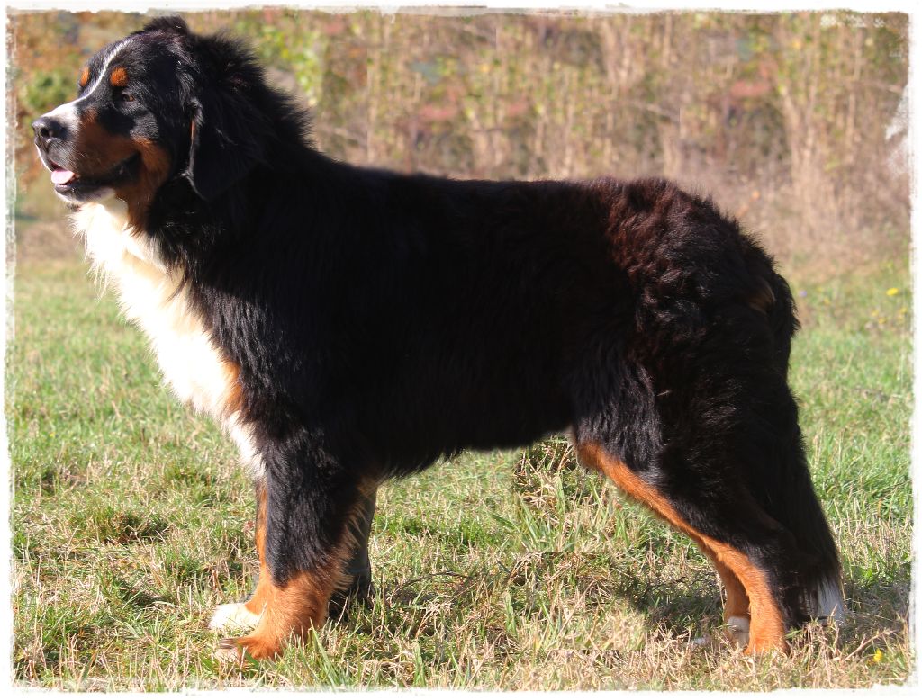 Publication : Du Mas De La Hillane