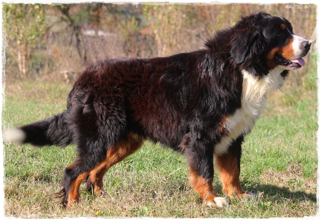 Publication : Du Mas De La Hillane