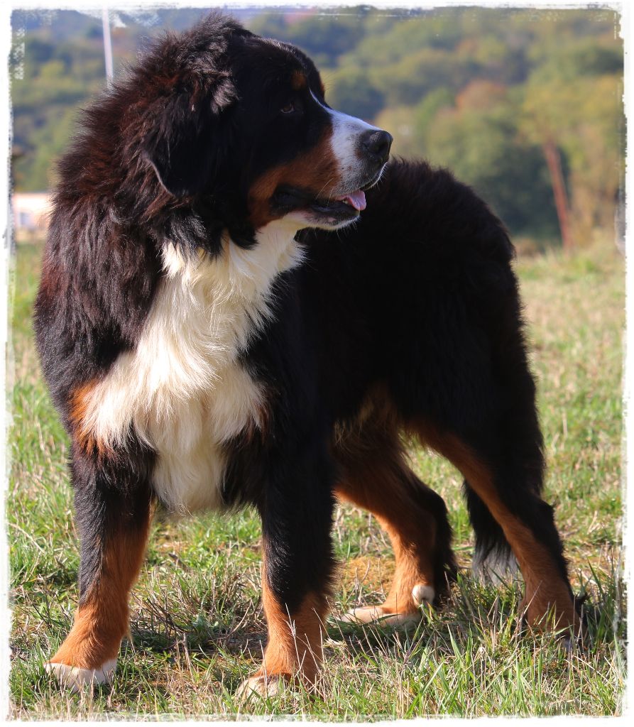 Publication : Du Mas De La Hillane