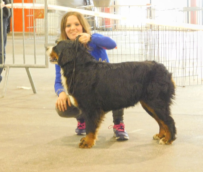 Jipipi Du Mas De La Hillane - 1ère Excellente / Meilleur Jeune