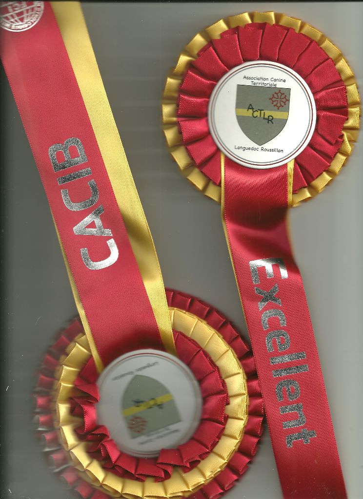 CH. Multi-championne desaree dite ola vielfrass - 1ER EXCELLENT CACIB MEILLEURE DE SEXE OPPOSE