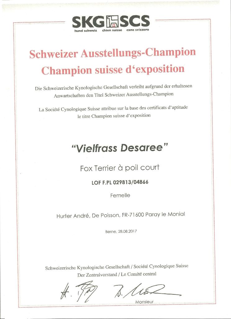 CH. Multi-championne desaree dite ola vielfrass - titre de champion suisse d'exposition,