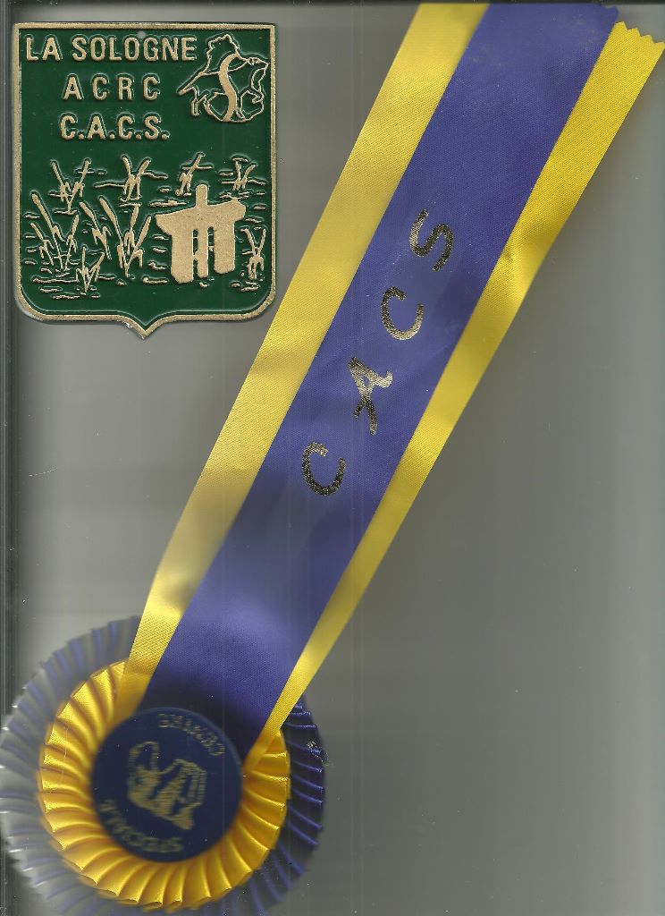 CH. Multi-championne desaree dite ola vielfrass - 1ER EXCELLENT CACS MEILLEURE DE SEXE OPPOSE