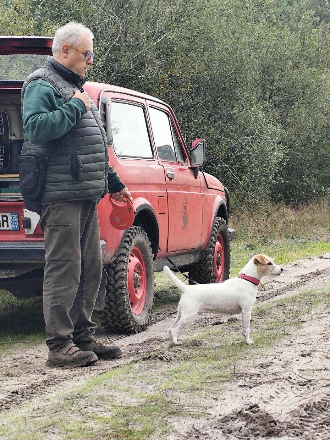CH. Pearl dream De L'airial De Laguloup