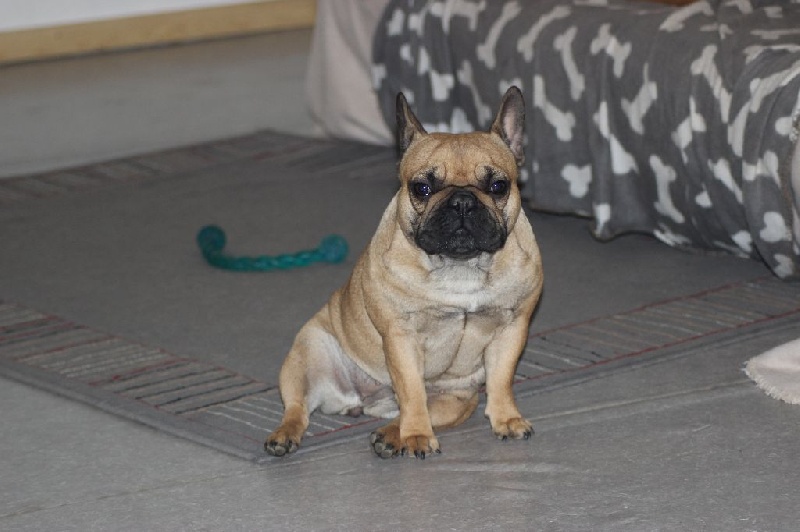 Idunn du domaine de Bodaway