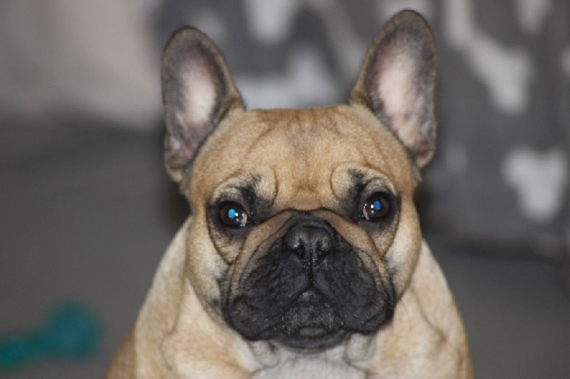 Idunn du domaine de Bodaway