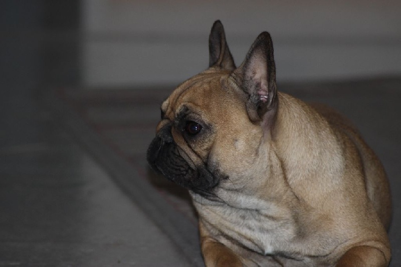 Idunn du domaine de Bodaway