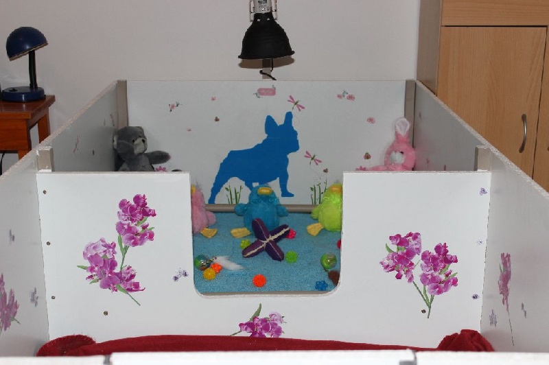 Idunn du domaine de Bodaway