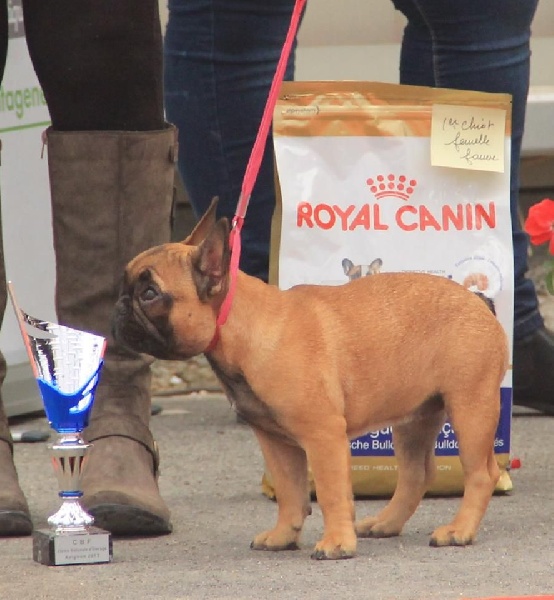Idunn du domaine de Bodaway - Très Prometteur - 1 ère