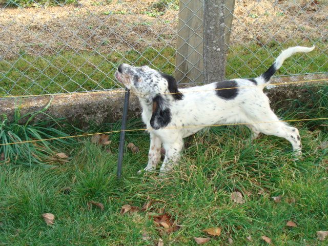 Publication : De La Cabane De Case Auteur : Bernard ROBERT