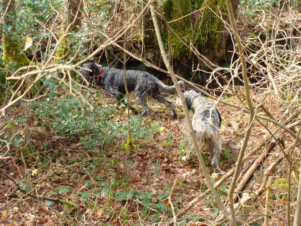 Publication : De La Cabane De Case Auteur : Bernard ROBERT