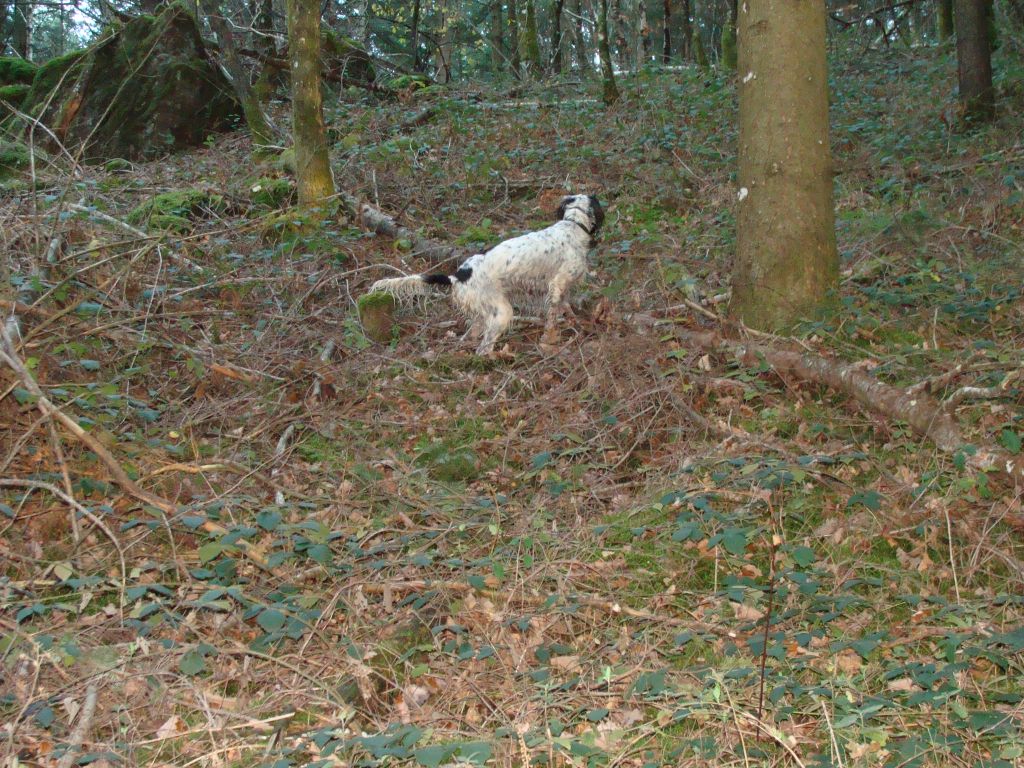 Publication : De La Cabane De Case Auteur : Bernard ROBERT