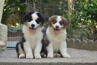 Of Eternal Red Heart