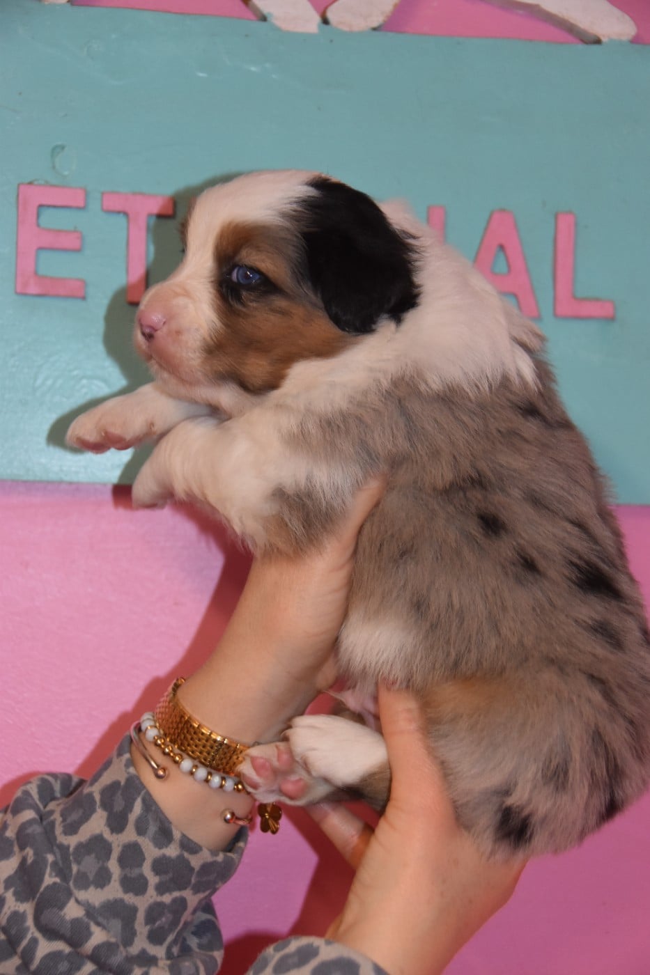 Au coeur du Mont Blanc