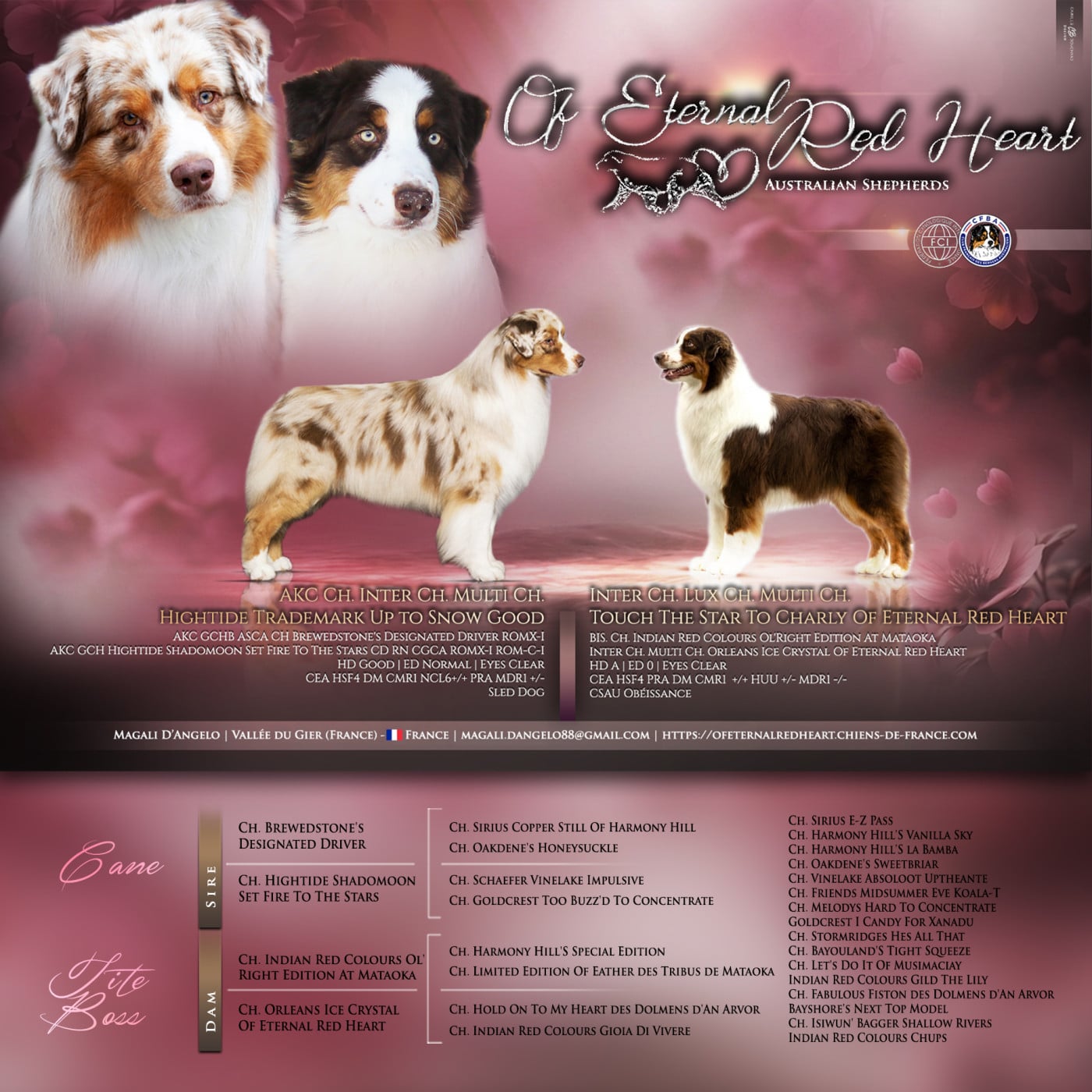 Berger Australien - Of Eternal Red Heart