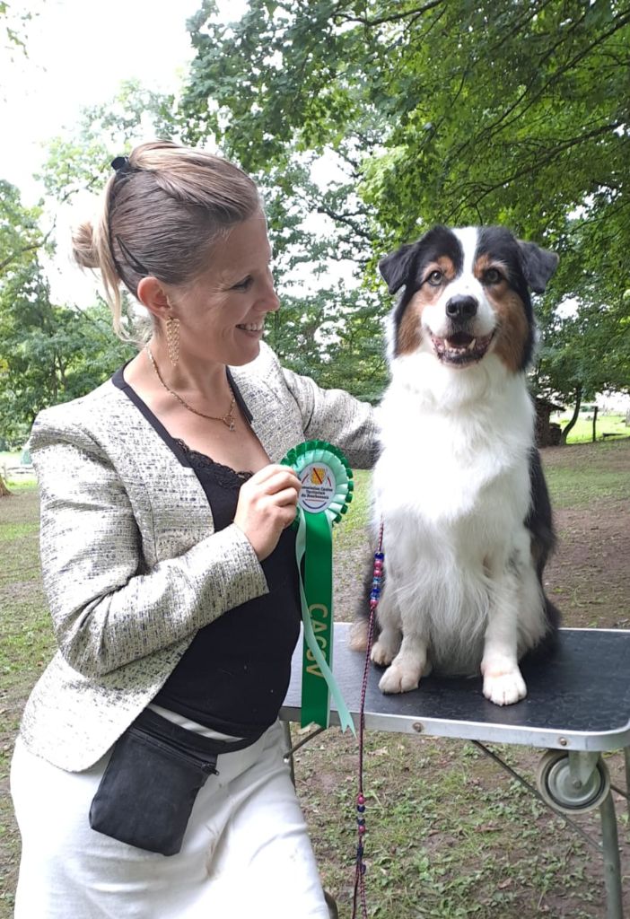 CH. Multi ch gch jbiss love my indian top model Of Eternal Red Heart - 1ere excellent, Best vétéran, top 6 du BIS vétéran