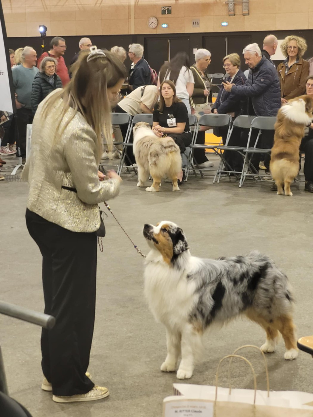 CH. Veni vidi vici Of Eternal Red Heart - 4eme excellent