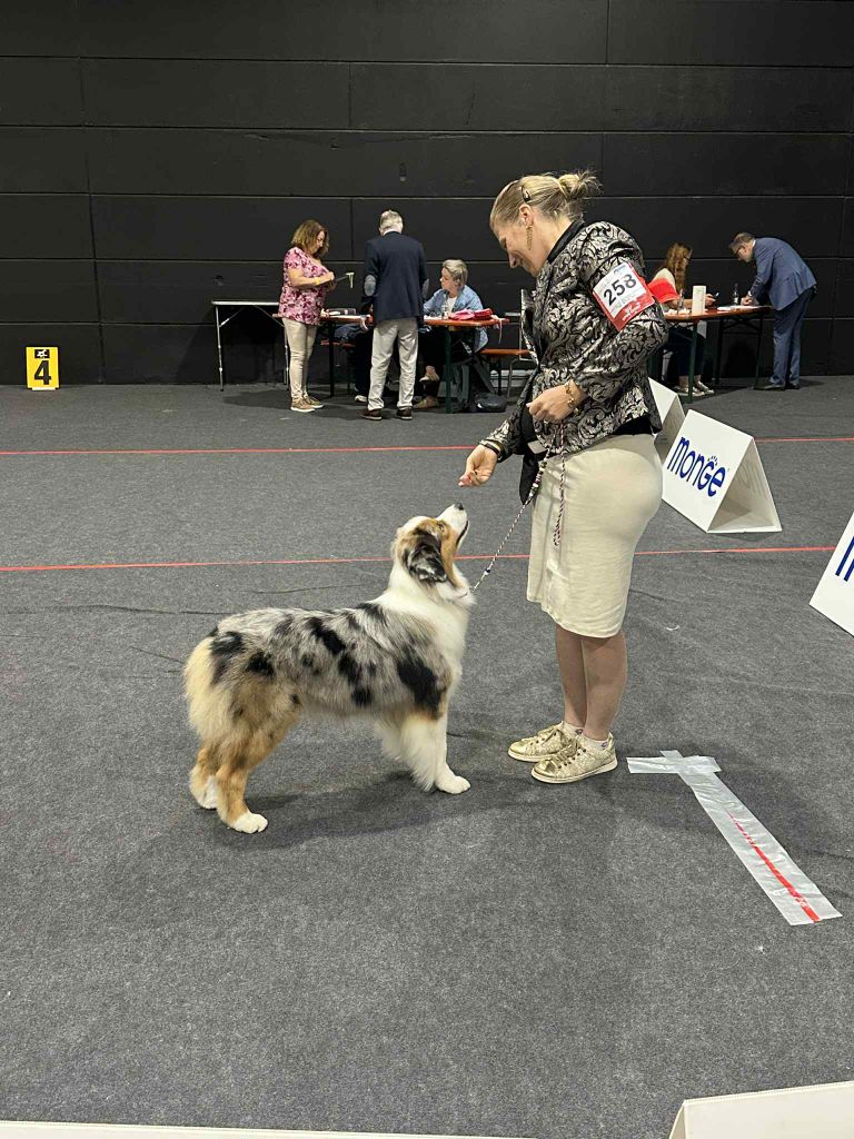 Vivo per lei Of Eternal Red Heart - RCACL