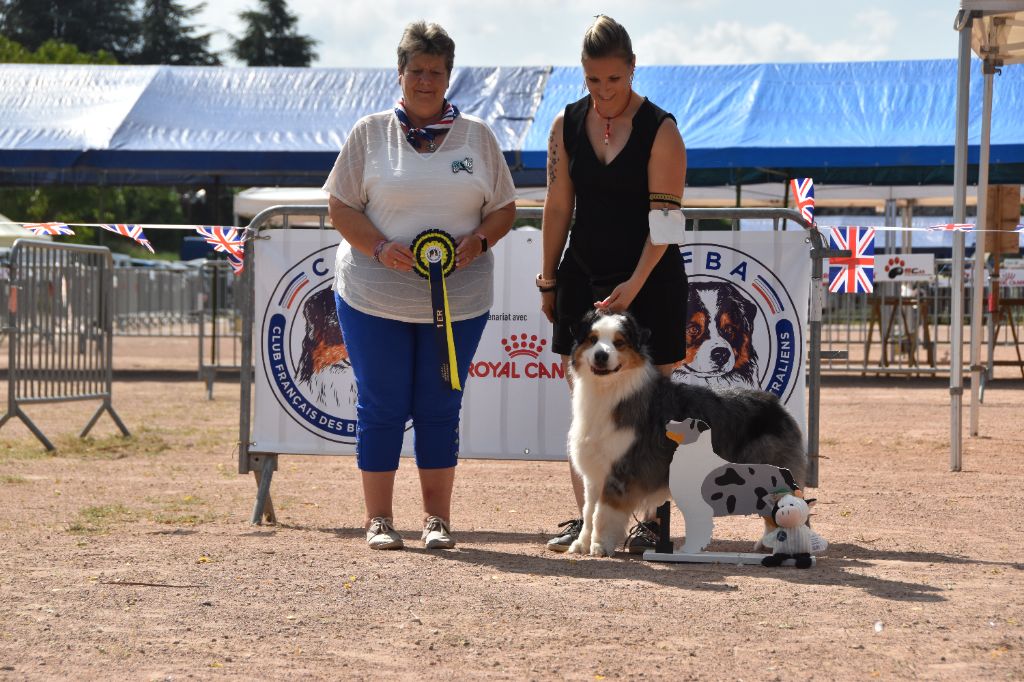 CH. Hold on to my heart des dolmens d'An Arvor - 1er excellent, CACV