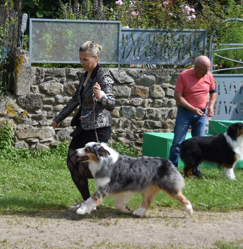 CH. Hold on to my heart des dolmens d'An Arvor - 3eme très bon