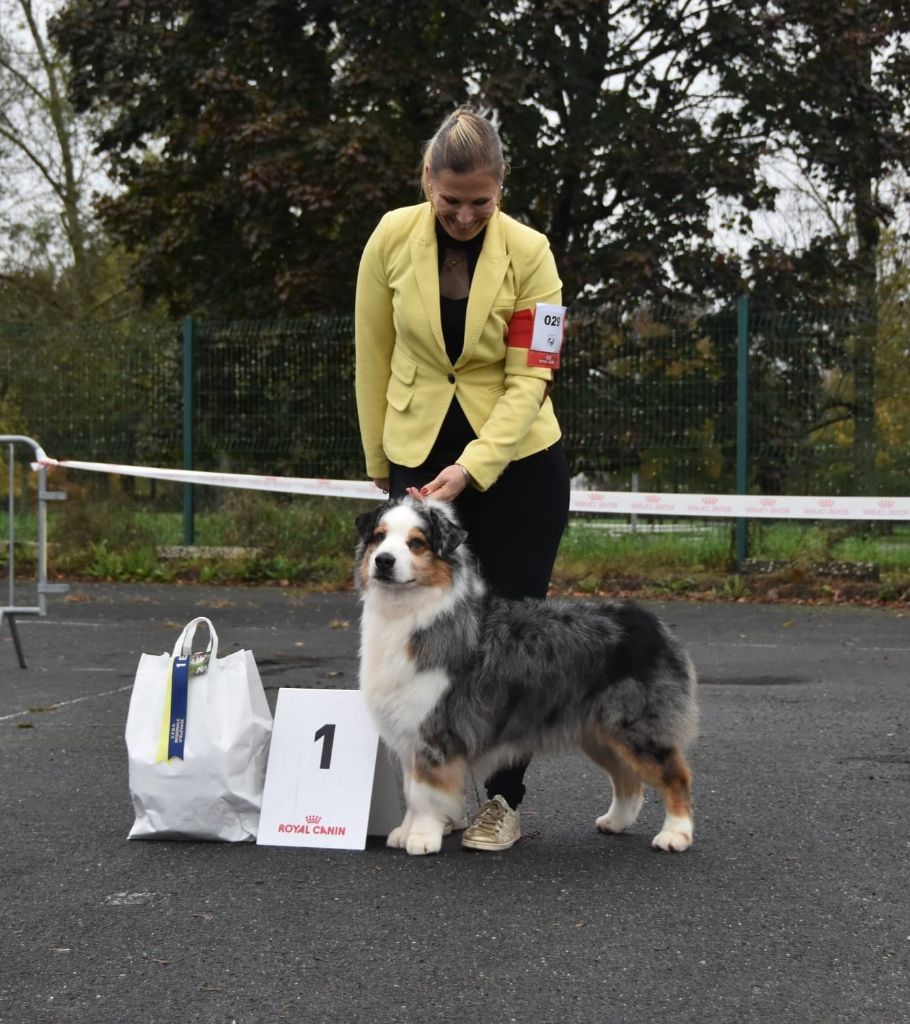 CH. Hold on to my heart des dolmens d'An Arvor - 1er excellent, meilleur vétéran