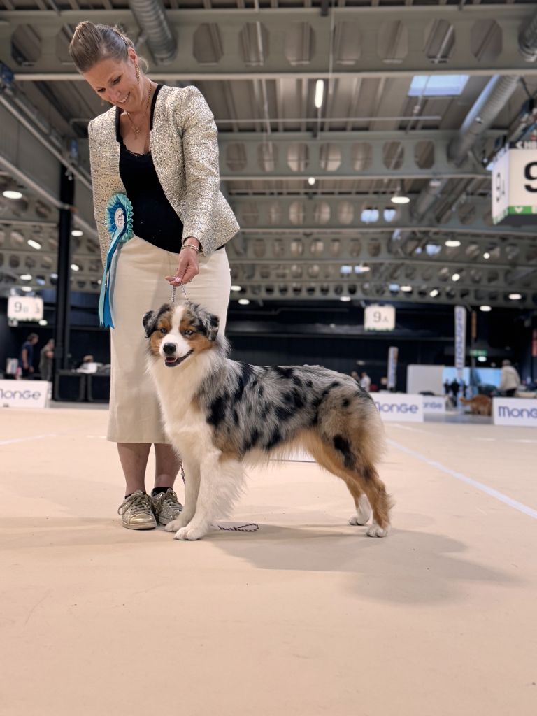 Vivo per lei Of Eternal Red Heart - RCACL