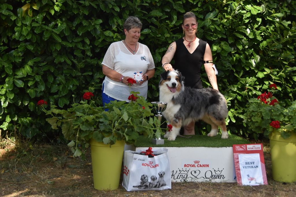 CH. Hold on to my heart des dolmens d'An Arvor - 1er excellent, best vétéran