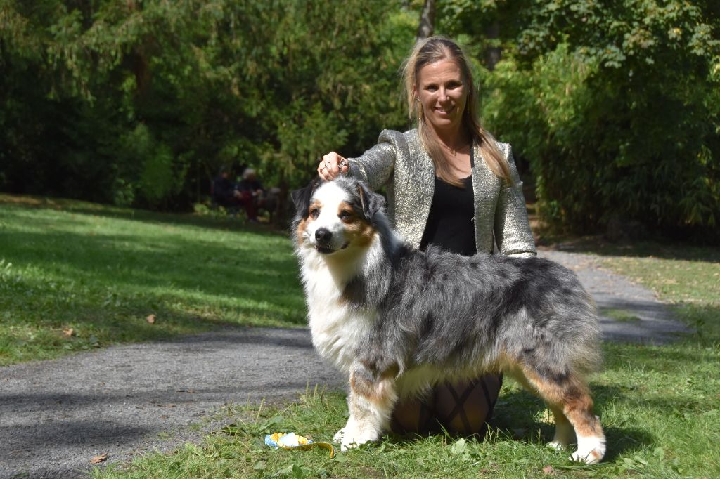 CH. Hold on to my heart des dolmens d'An Arvor - 2ème excellent