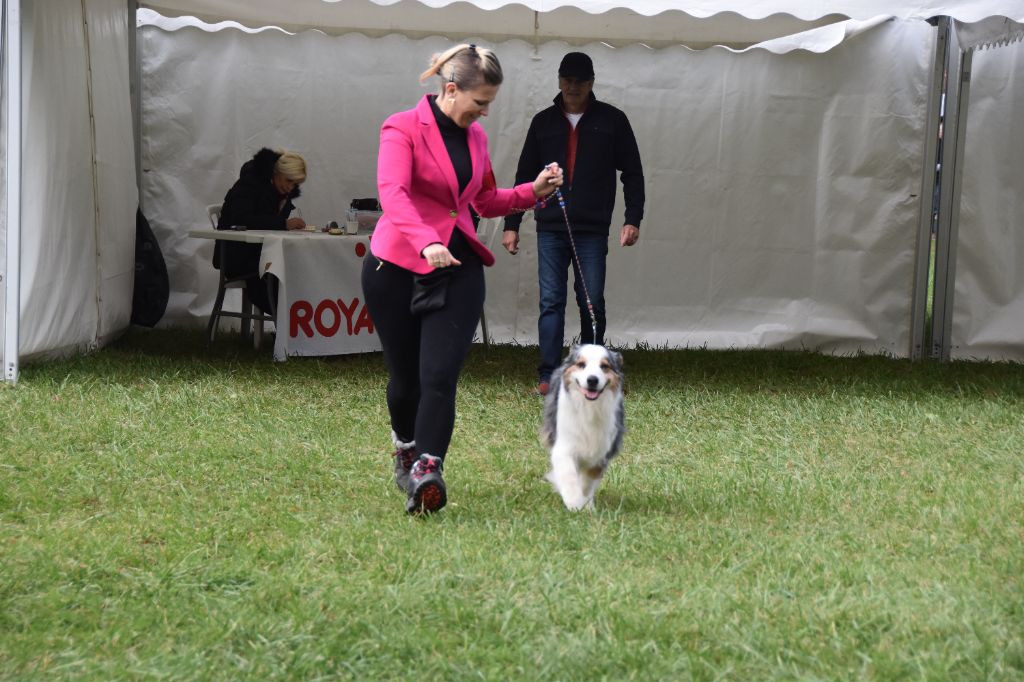 CH. Hold on to my heart des dolmens d'An Arvor - 1er excellent, Best vétéran