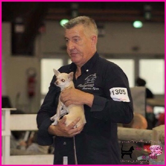 Publication : Des Diamants De Jade