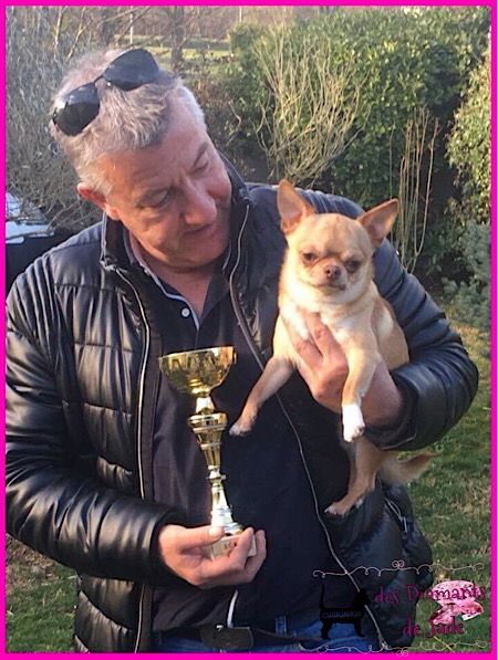 Publication : Des Diamants De Jade Auteur : manon parrot